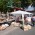 Brocante à Port-Sainte-Foy